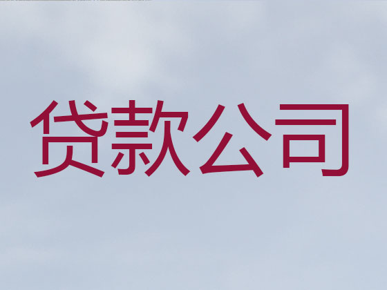 陵水本地贷款公司